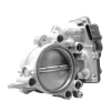 Throttle body, butterfly valve
